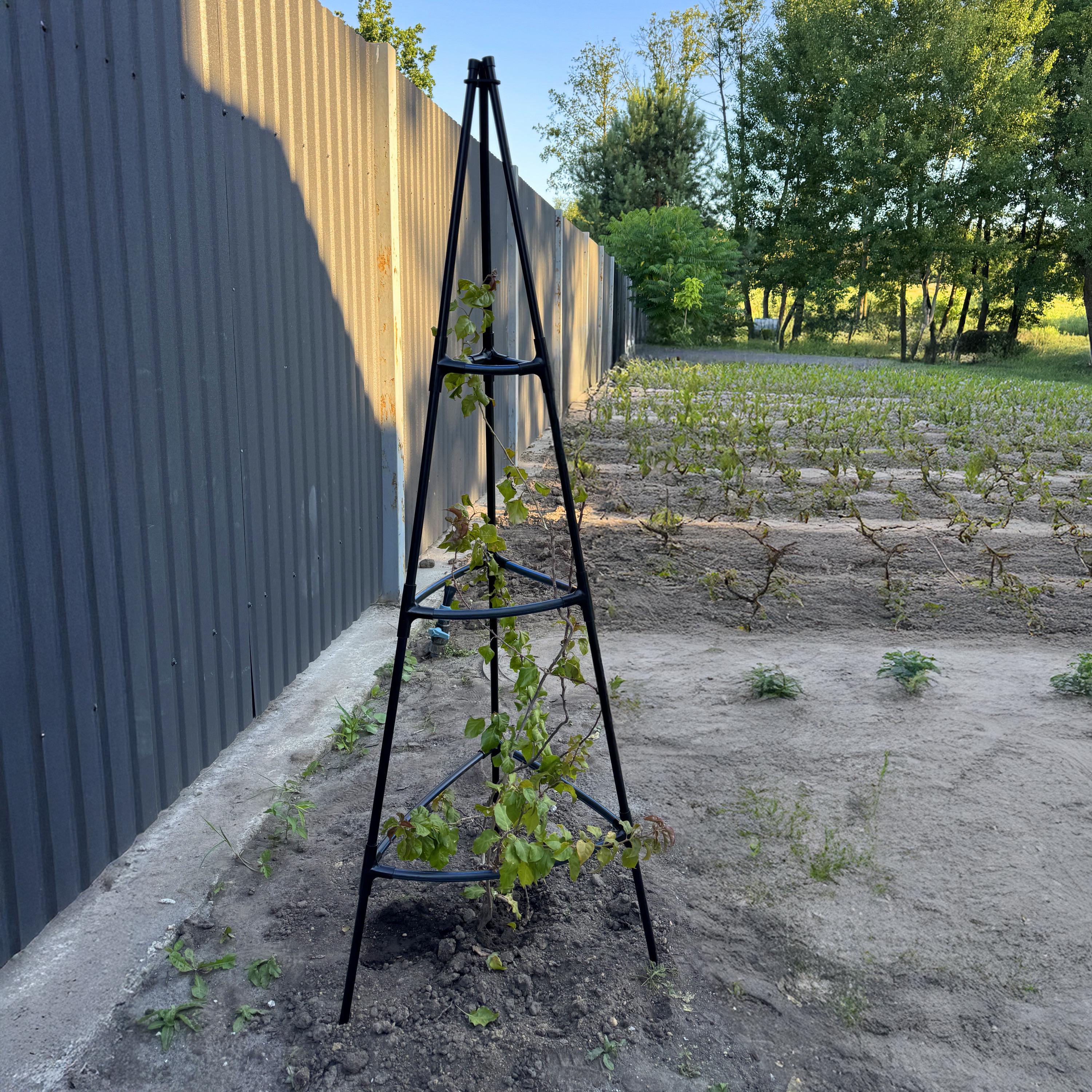 Опора для клематисів і троянд Tea Rose Piramida пірамідальна металева Чорний (27419459) - фото 5