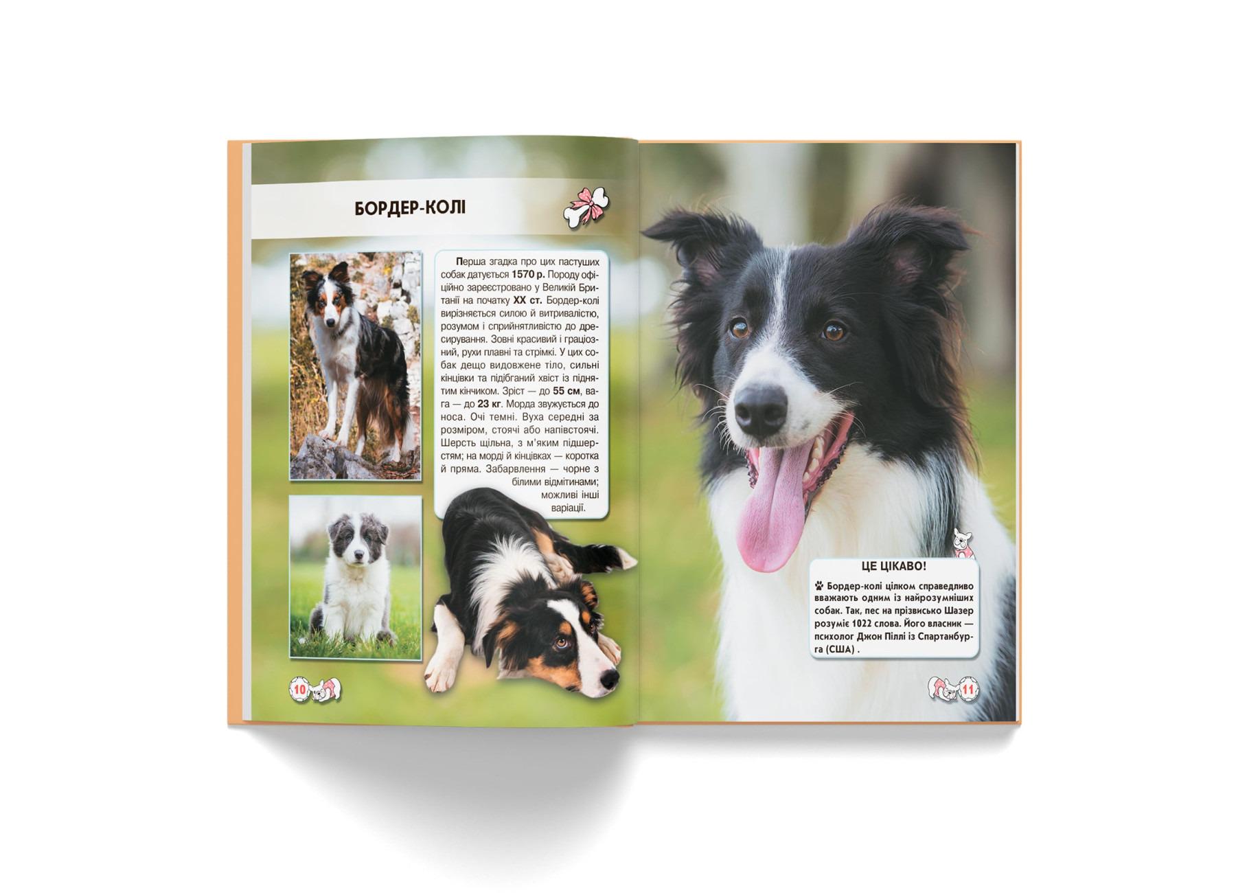 Книга "Світ навколо нас. Собаки" (F00021089) - фото 6 Книга "Світ навколо нас. Собаки" (F00021089) - фото 6