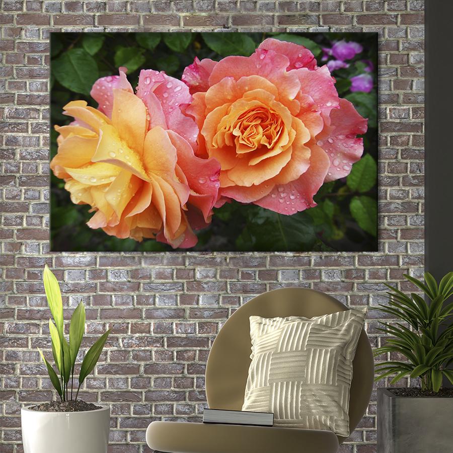 Картина на холсте Двухцветная роза 51x34 см (847-1)