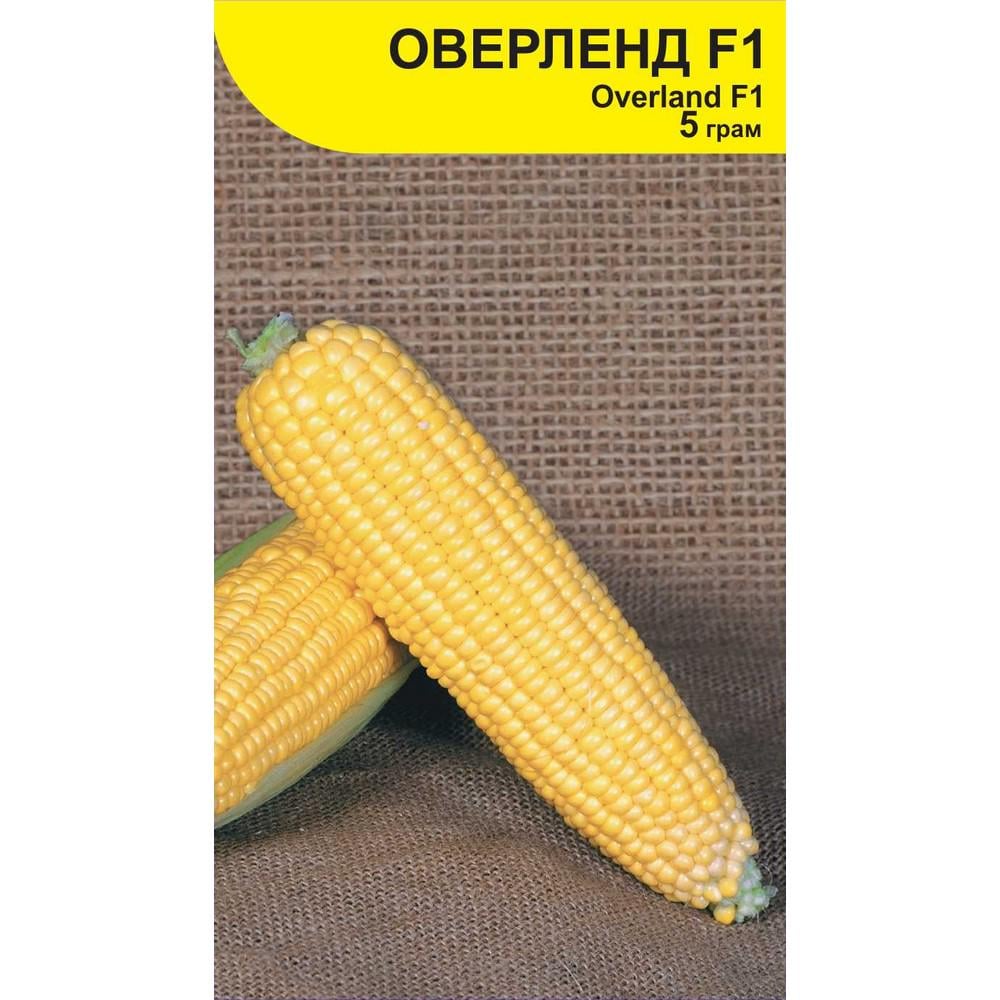 Насіння кукурудзи Syngenta Оверленд F1 5 г (39494)