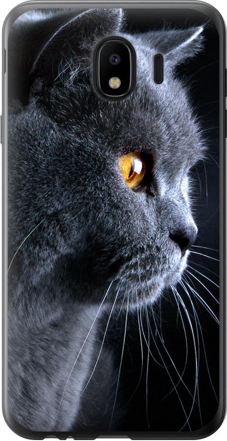 Чохол на Samsung Galaxy J4 2018 Гарний кіт (3038u-1487-42517)