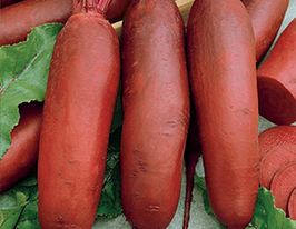 Семена Свекла Таунус F1 ТД Гекса-Украина 750 шт. 01-19-146 (IR00577)