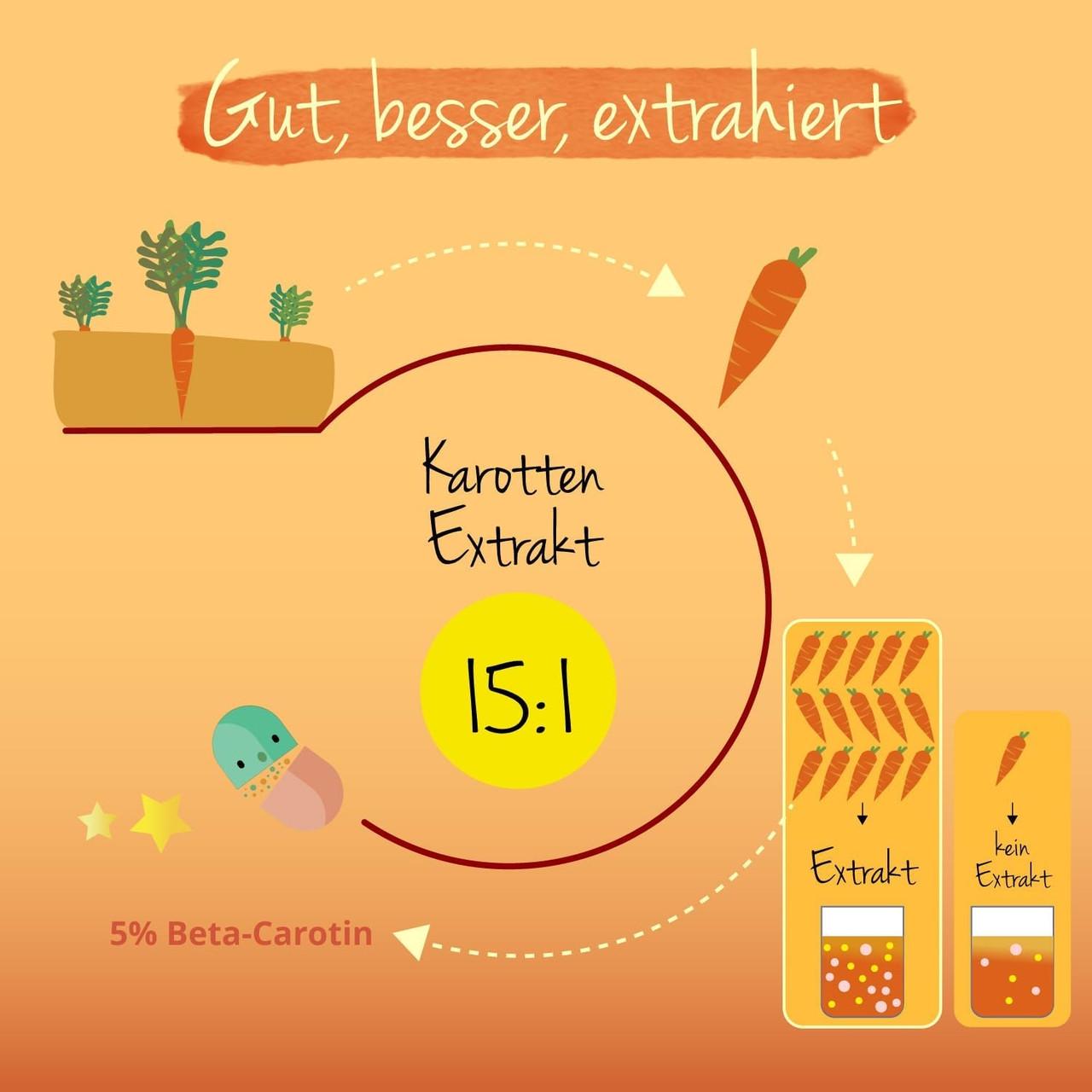 Бетакаротин Vegavero 7 мг 120 капсул (50094609v) - фото 4 Бетакаротин Vegavero 7 мг 120 капсул (50094609v) - фото 4