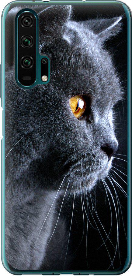 Чехол на Huawei Honor 20 Pro Красивый кот (3038u-1702-42517)