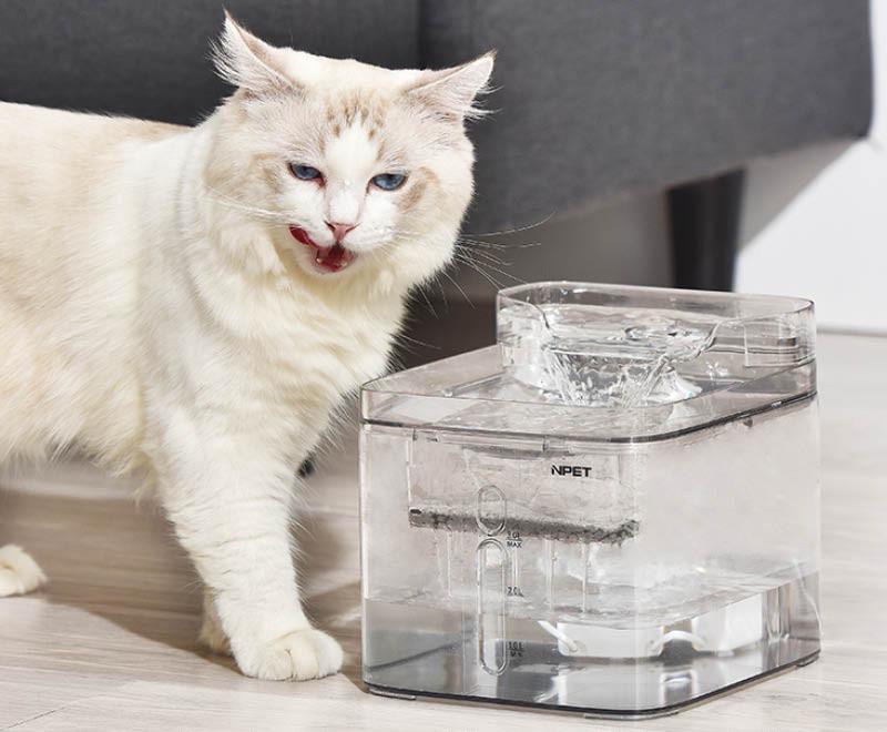 Поилка фонтан для кошек и собак NPET WF020TP 3 л с фильтром Прозрачный (1246366346) - фото 2