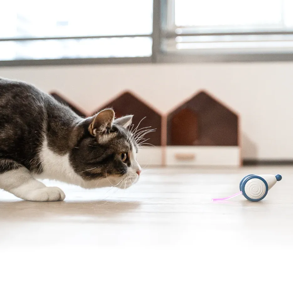 Іграшкова-миша для котів Cheerble Wicked Mouse інтерактивна Blue (24772633) - фото 2 Іграшкова-миша для котів Cheerble Wicked Mouse інтерактивна Blue (24772633) - фото 2