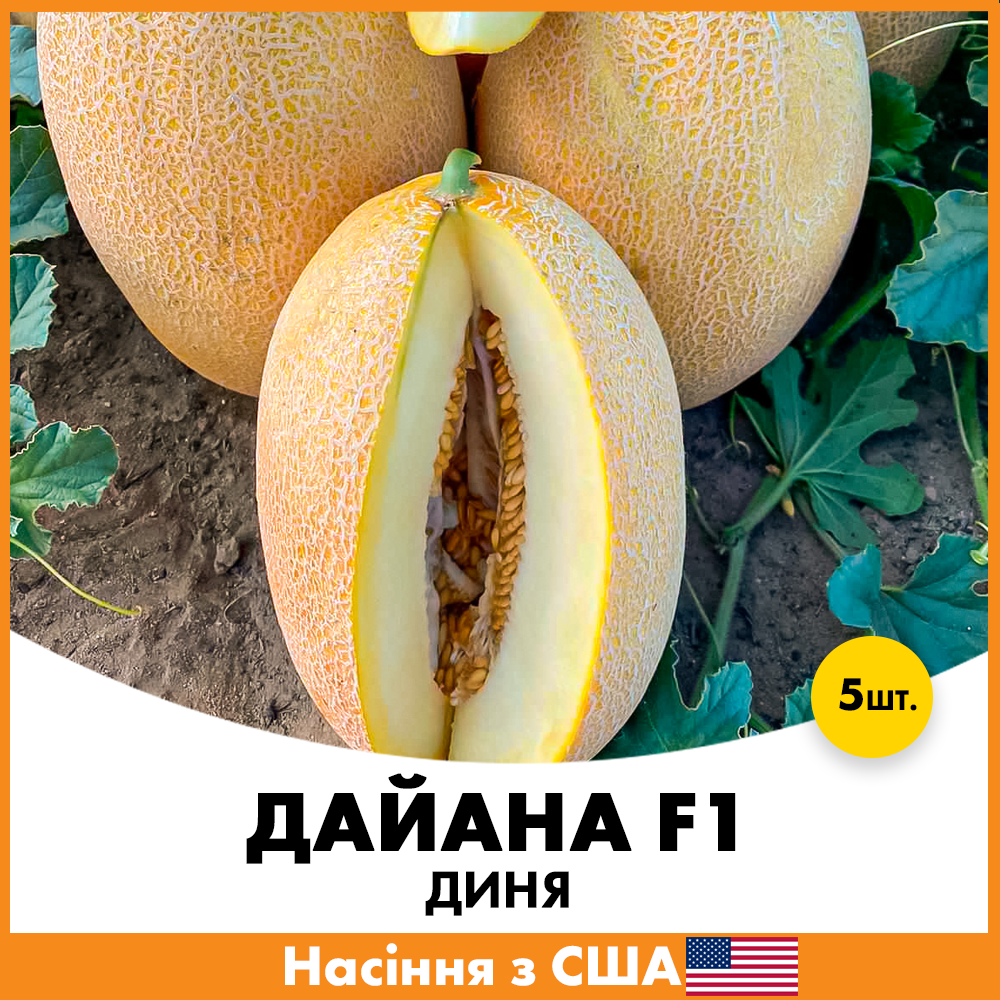 Семена дыни Innova Seeds Дайана F1 5 шт. (jkl10)