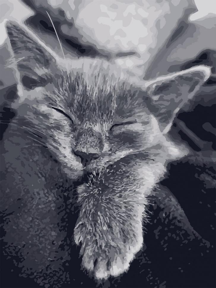 Картина за номерами ART CRAFT 11612-AC Котяча подяка 40x50 см (2228881495)