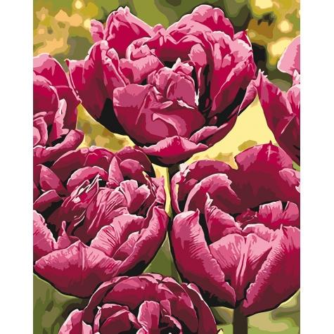 Набор для росписи по номерам Идейка Изысканная элегантность 40х50 см (КНО3057-mt)