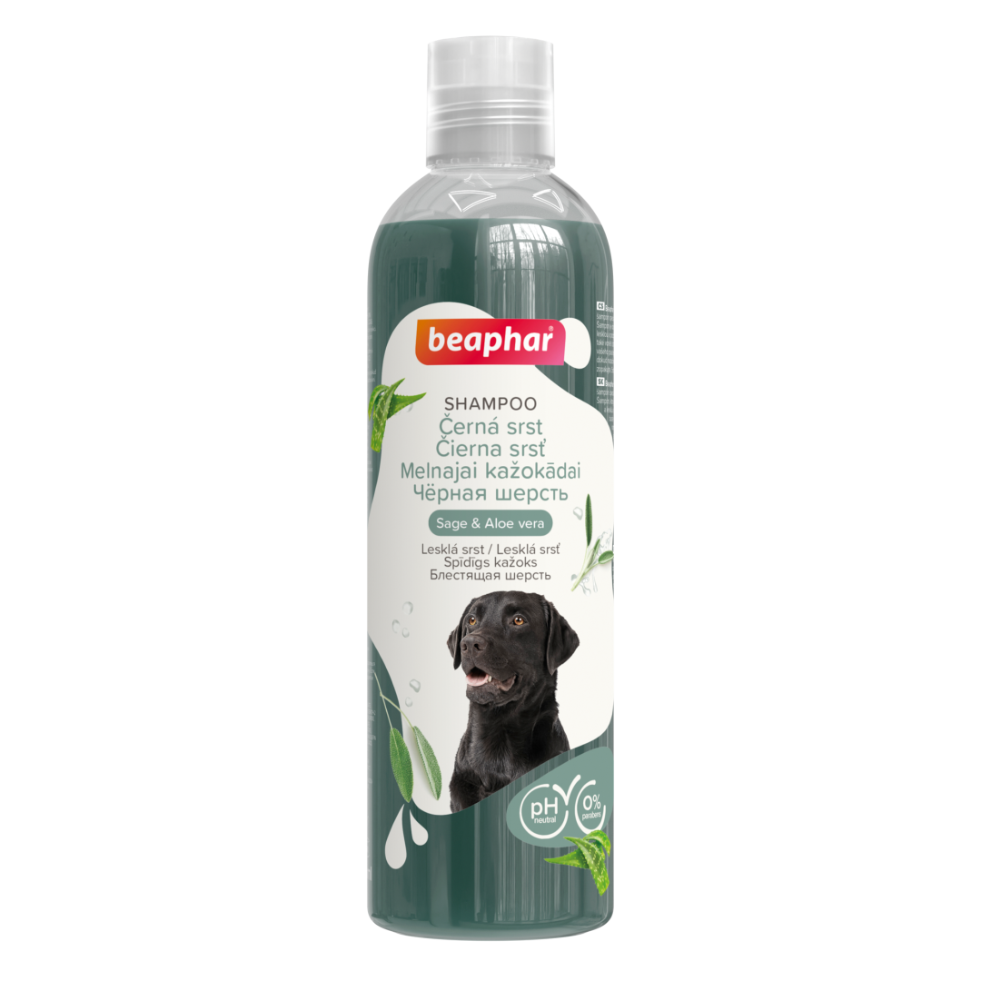 Шампунь для собак з чорним або темним забарвленням вовни Beaphar Shampoo Black for Dogs 250 мл (2123604932) Шампунь для собак з чорним або темним забарвленням вовни Beaphar Shampoo Black for Dogs 250 мл (2123604932)