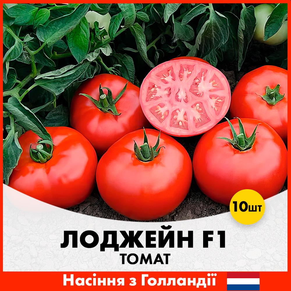 Семена томата Enza Zaden Лоджейн F1 10 шт. (R30125)