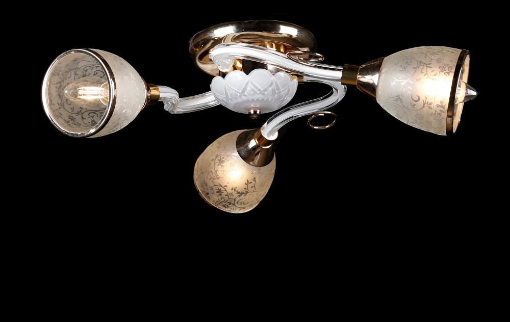 Люстра с плафонами Ray L11302/3 (IR005634)