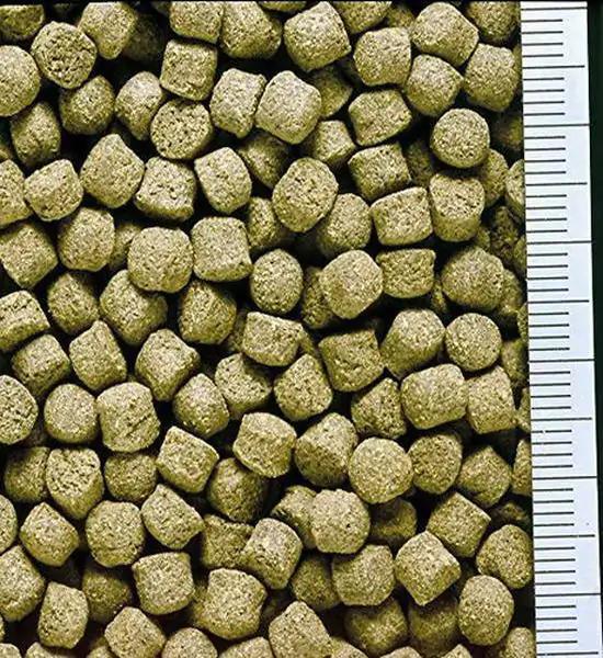 Корм Hikari Cichlid Excel S для молодежи малавийских цихлид 8-15 см/гранулы 3,5-4,0 мм/57 г (14211) - фото 2 Корм Hikari Cichlid Excel S для молодежи малавийских цихлид 8-15 см/гранулы 3,5-4,0 мм/57 г (14211) - фото 2