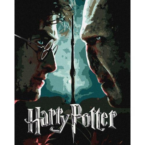 Картина по номерам с красками металлик Harry Potter Гарри и Волдеморт 40х50 см (2987506407)