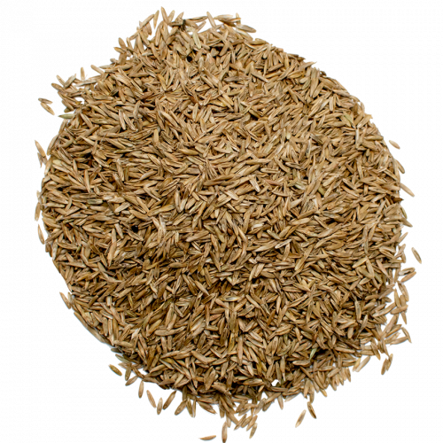 Семена газонной травы Green Seeds универсальной 1 кг (3694) - фото 4