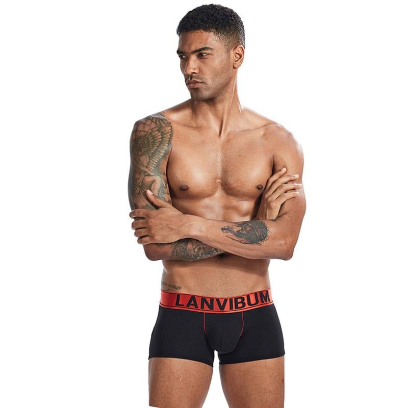 Трусы Lanvibum XXL Черный (7466)