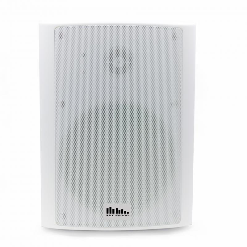 Настенный акустический комплект Sky Sound NSW 30 ACTIVE+BT+Wi-Fi - фото 2