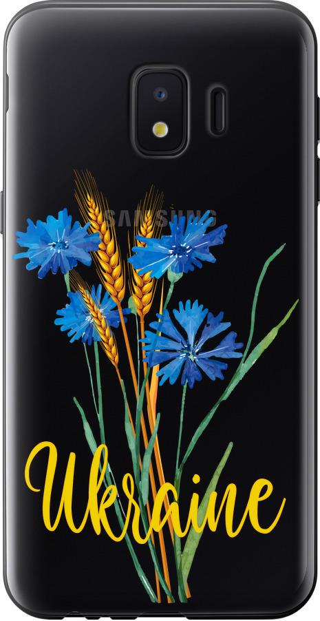 Чехол на Samsung Galaxy J2 Core Ukraine v2 (5445u-1565-42517)