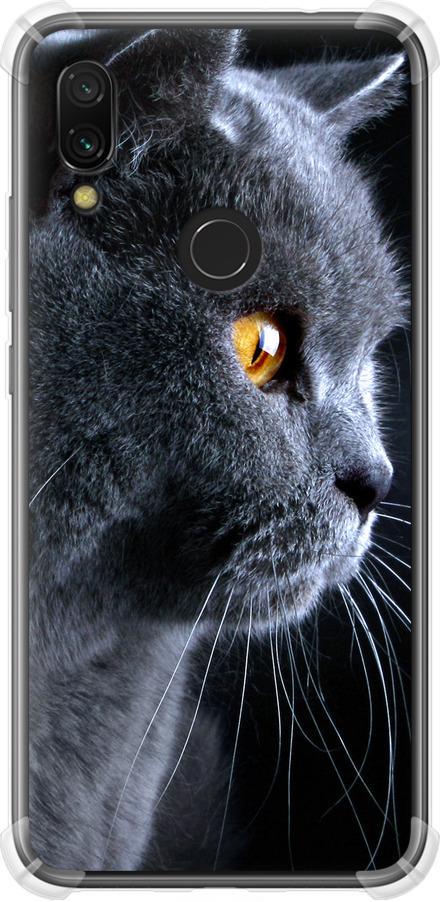 Чехол на Xiaomi Redmi 7 Красивый кот (3038sp-1669-42517)