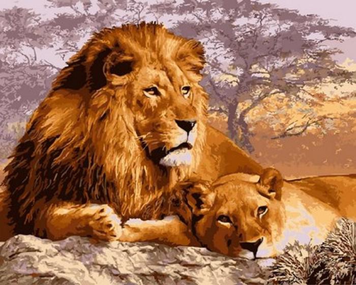 Картина по номерам Babylon Кошки на отдыхе 40x50 см (skl-VP992)