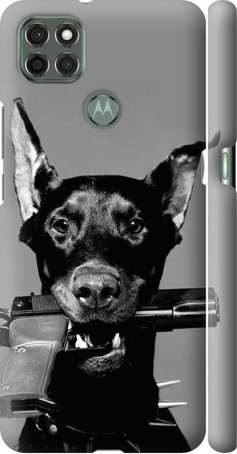 Чохол на Motorola G9 Power Доберман (2745m-2229-42517)