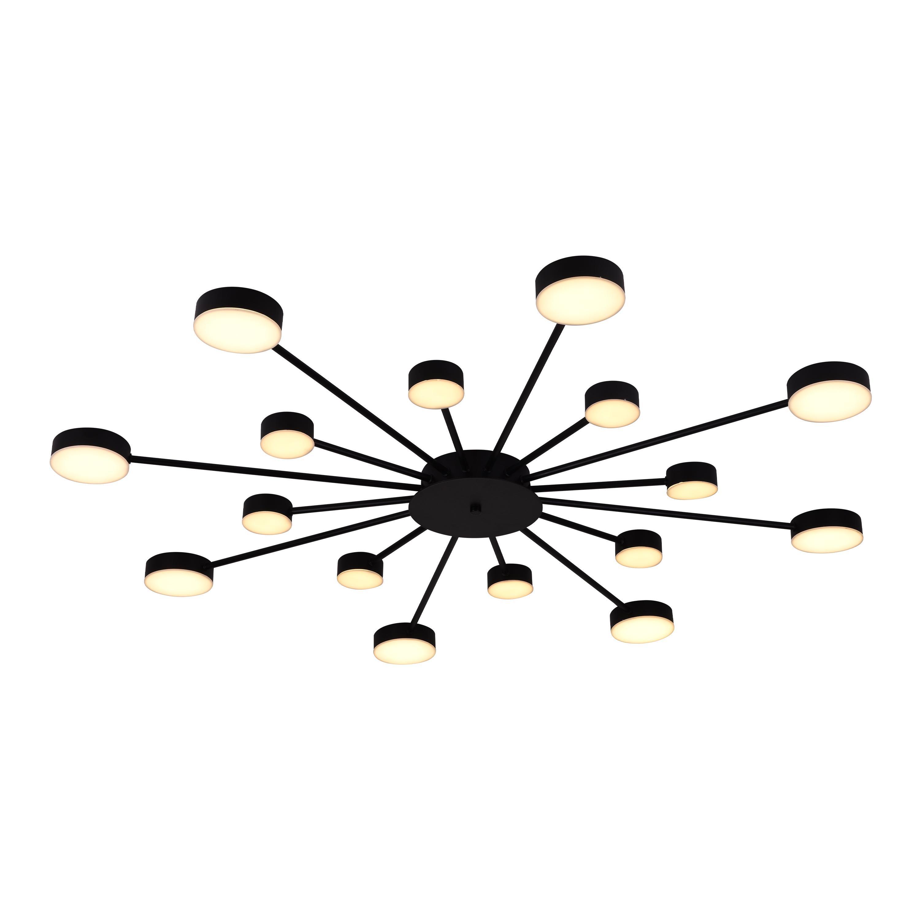 Люстра Miorro LED Foresta 16x6,3 Вт Черный (51-313-005)