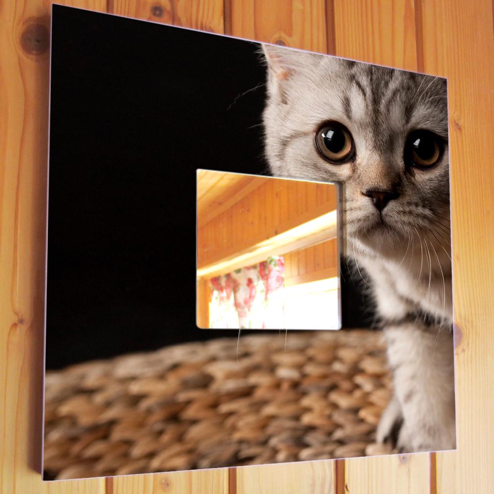 Зеркало декоративное Интересный котенок 260х260 мм (M03839)