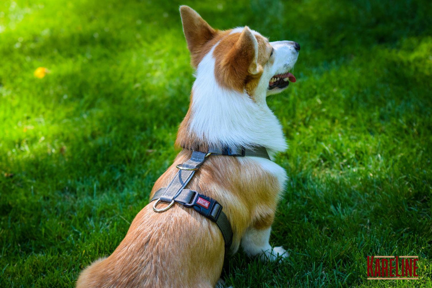 Шлея анатомическая KareLine из нейлона со светоотражающими элементами 25 мм А:340-540 мм В:470-690 мм Серый (0976/10) - фото 3