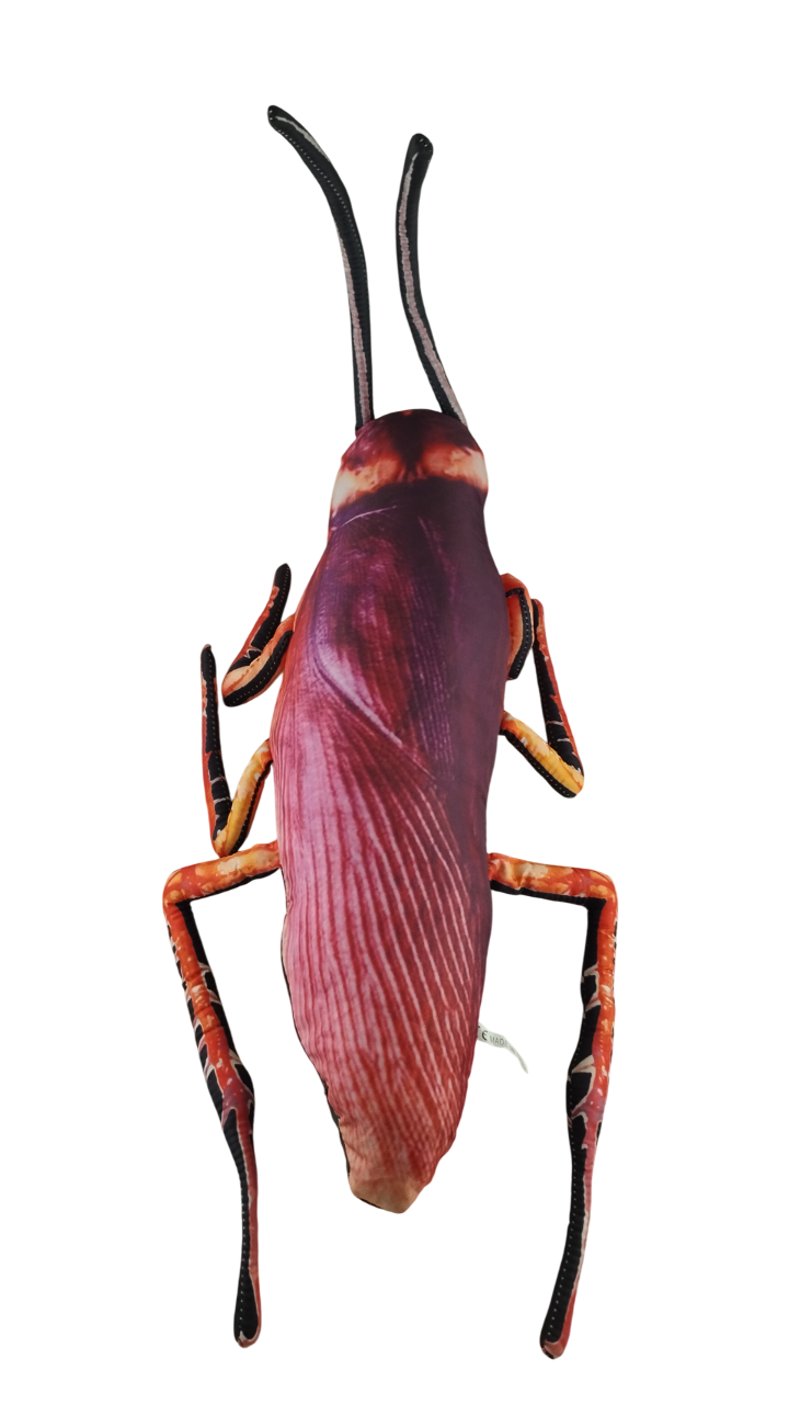 Мягкая игрушка-подушка Таракан 53 см (000055) Мягкая игрушка-подушка Таракан 53 см (000055)