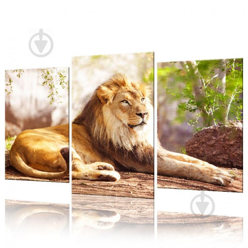 Модульная картина Лев ADJ0011 размер 45 х 70 см