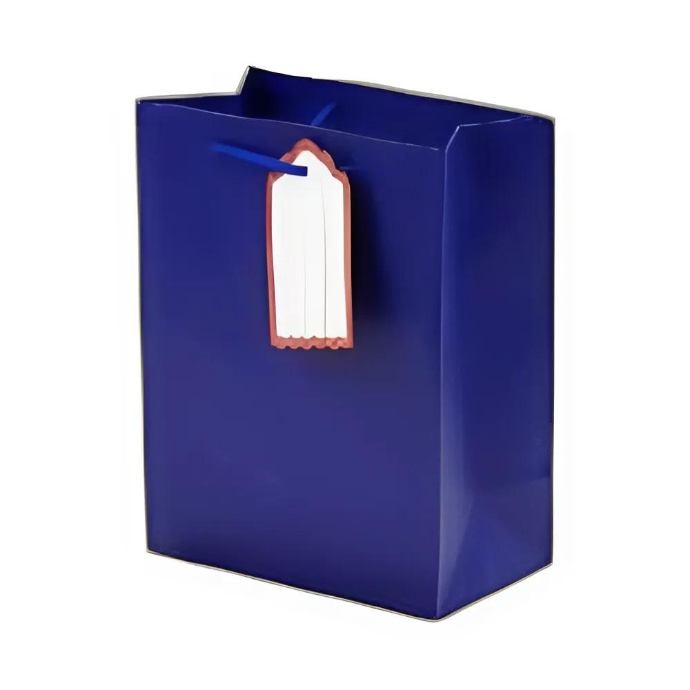 Подарунковий пакет Stenson R96668-M Monochrom 26х32х12 см Синій (14337133)