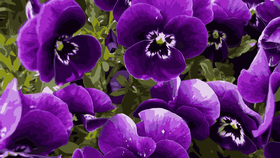 Картина по номерам Art Craft "Фиалковая эйфория" 40x50 см (13108-AC)