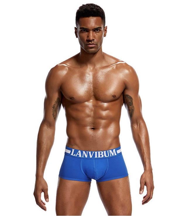 Трусы Lanvibum XXL Синий (4510)