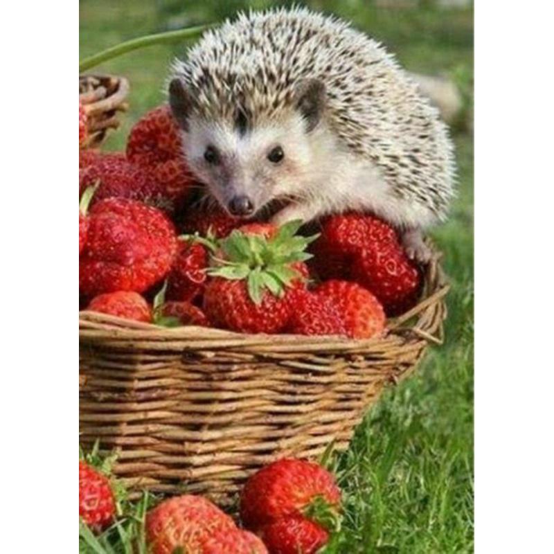 Алмазная мозаика Strateg Премиум Ёжик и клубника 30х40 см (Str-GD86093)