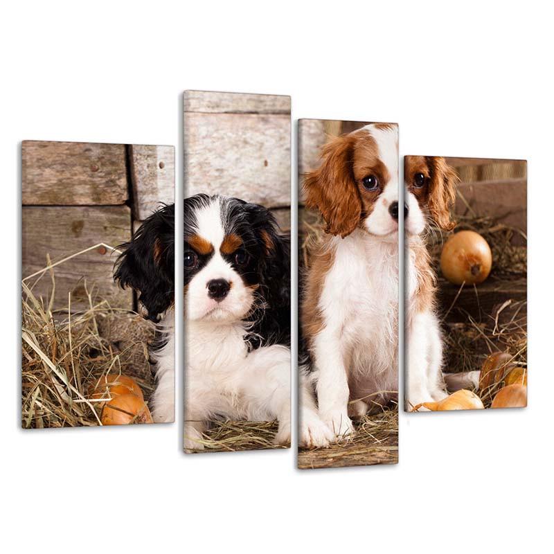 Картина модульная на холсте DK Собачки 112х75 см (PLM4 58)