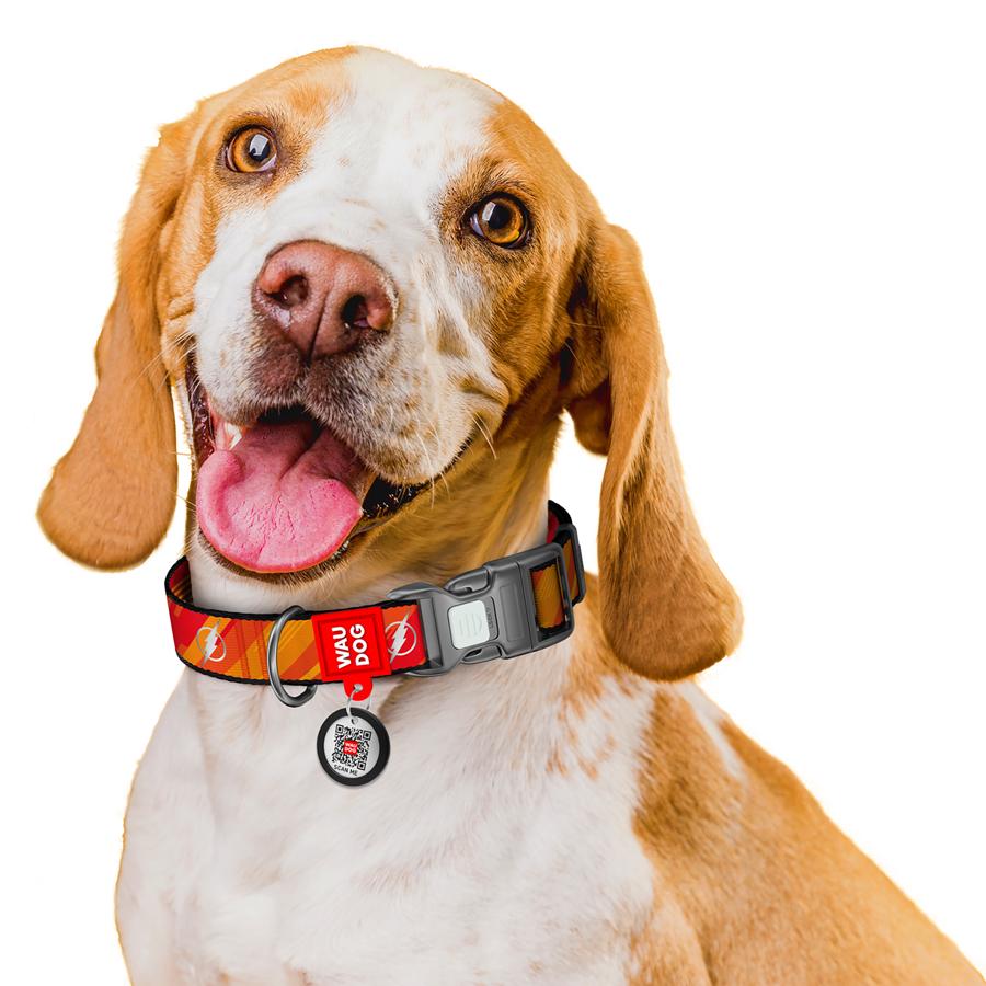 Ошейник для собак с QR-паспортом Waudog Nylon Флеш Лого светоотражающий пластиковый фастекс L 25 мм 33-49 см Orange (282-1083) - фото 6 Ошейник для собак с QR-паспортом Waudog Nylon Флеш Лого светоотражающий пластиковый фастекс L 25 мм 33-49 см Orange (282-1083) - фото 6