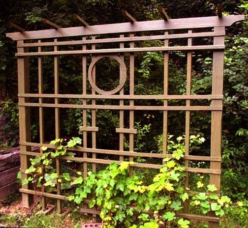 Пергола-шпалера из дерева Эдивания Мускат (ПШЕ-001007)