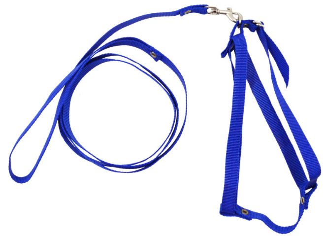 Шлейка/повідець Вісімка капронова 20-40/32-40 см 130 см Синій (00000006977)