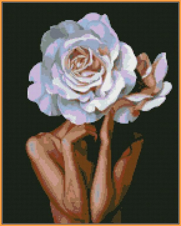 Алмазная мозаика Турбо Монография Эми Джадд 40x50 см (ST1331)