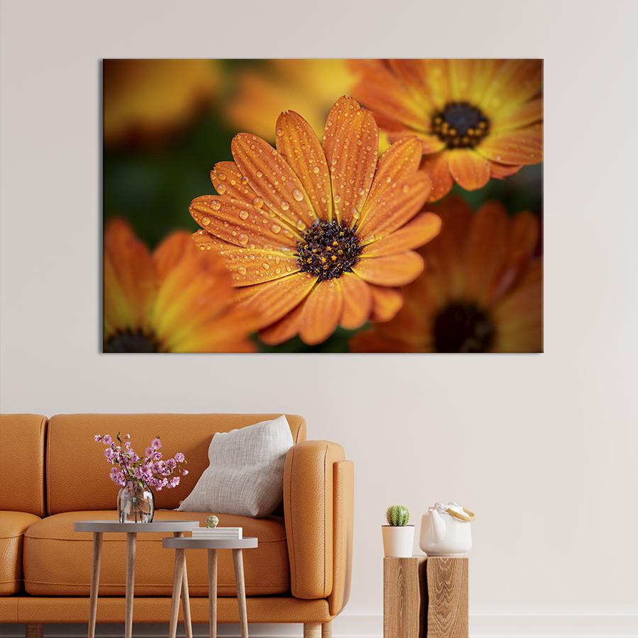 Картина на холсте Цветы календулы 75x50 см (790-1)