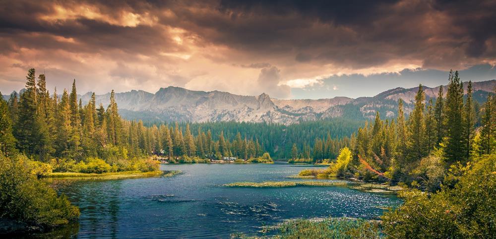 Картина на холсте Природа 50х70 см (N597)