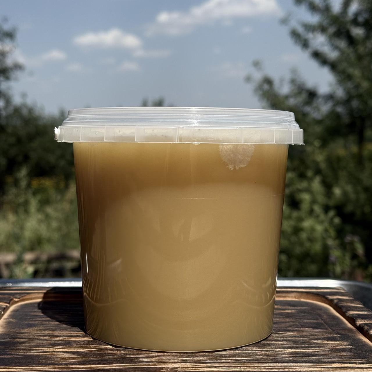 Мед рапс майский семейная кочевая пасека 1 л/1400 г 2025 г. (2622078762)