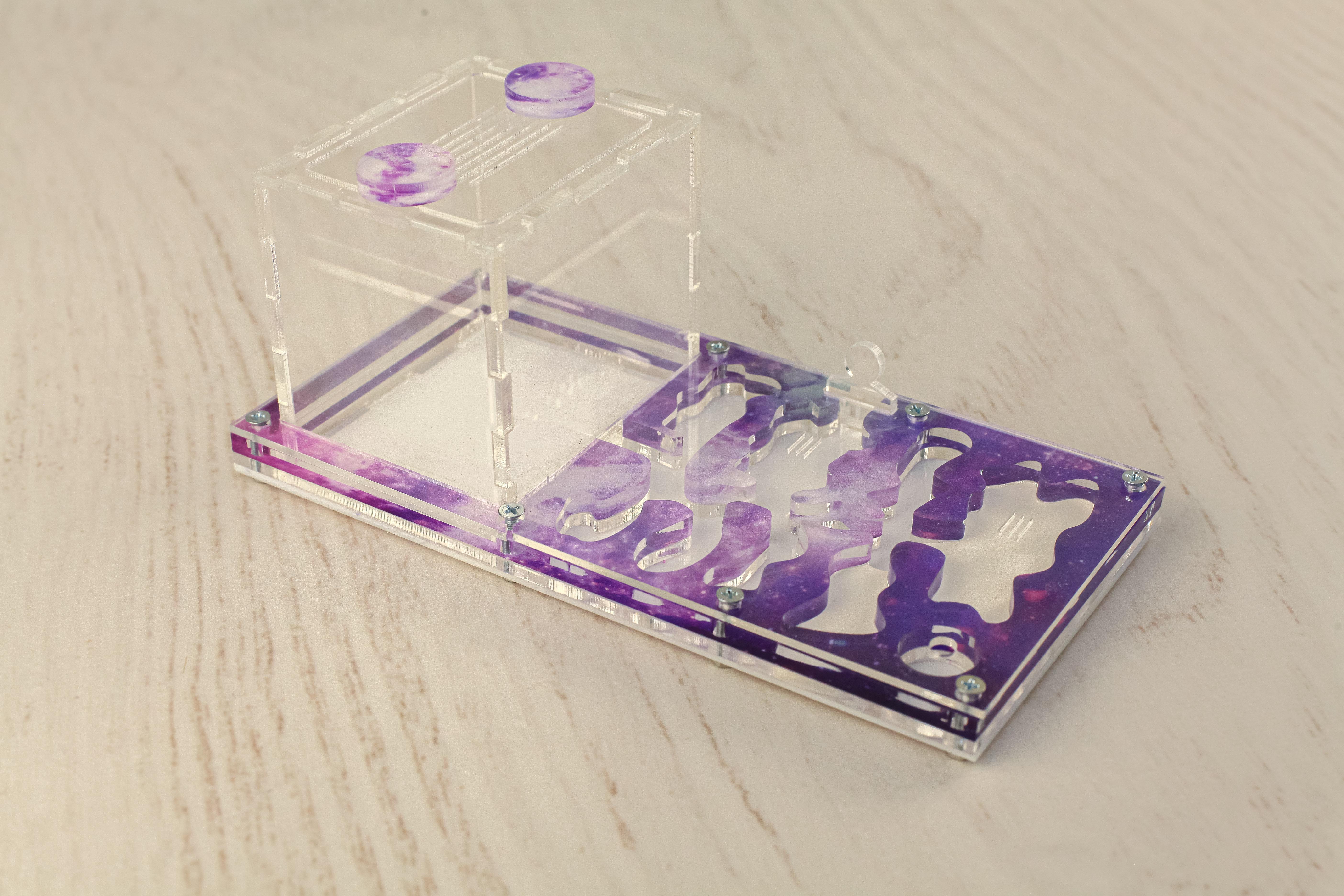 Муравьиная ферма ANTTemple Формикарий микро 18х9 см - фото 3 Муравьиная ферма ANTTemple Формикарий микро 18х9 см - фото 3