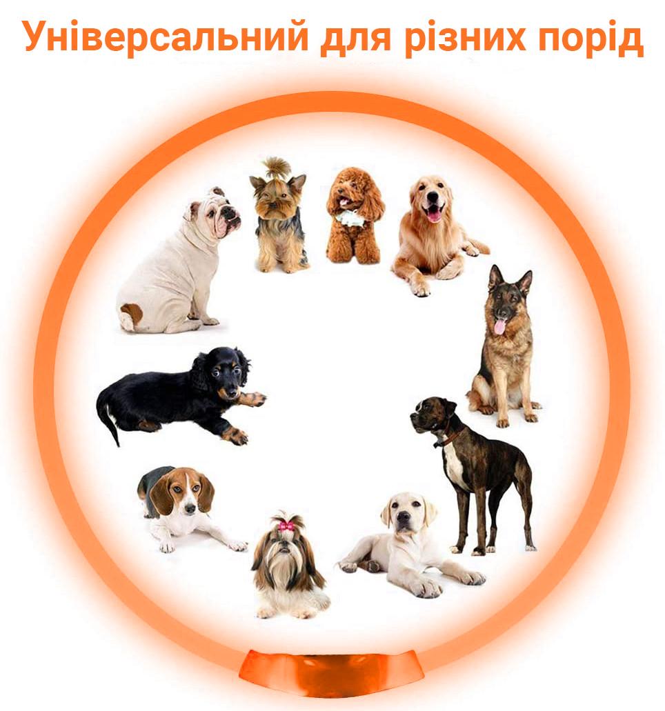 Ошейник iPets LC-01 с LED свечением L Оранжевый - фото 7 Ошейник iPets LC-01 с LED свечением L Оранжевый - фото 7