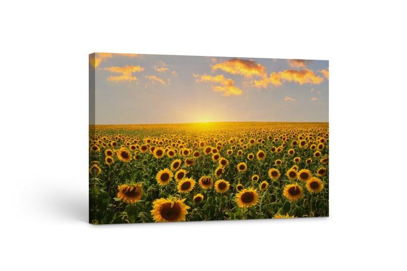 Картина на холсте KIL Art Подсолнухи 51x34 см (338)