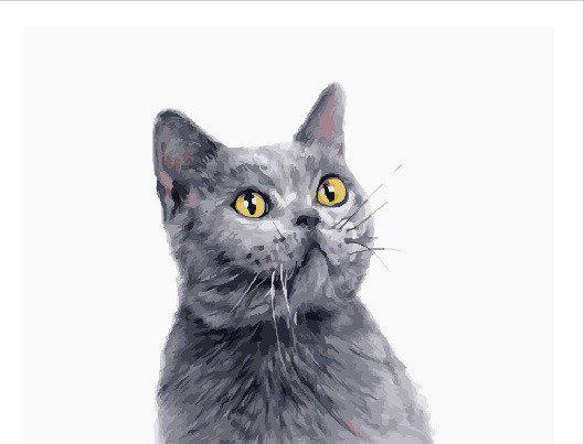 Картина по номерам Brushme "Милый британец" (GT66025)