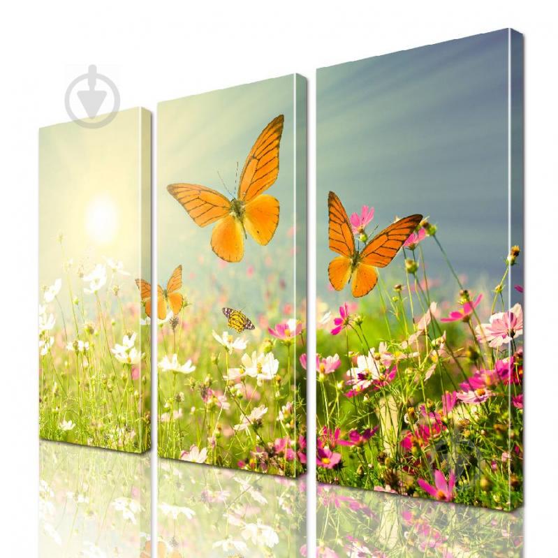 Модульная картина Бабочки ADNA0145 размер 95 х 120 см