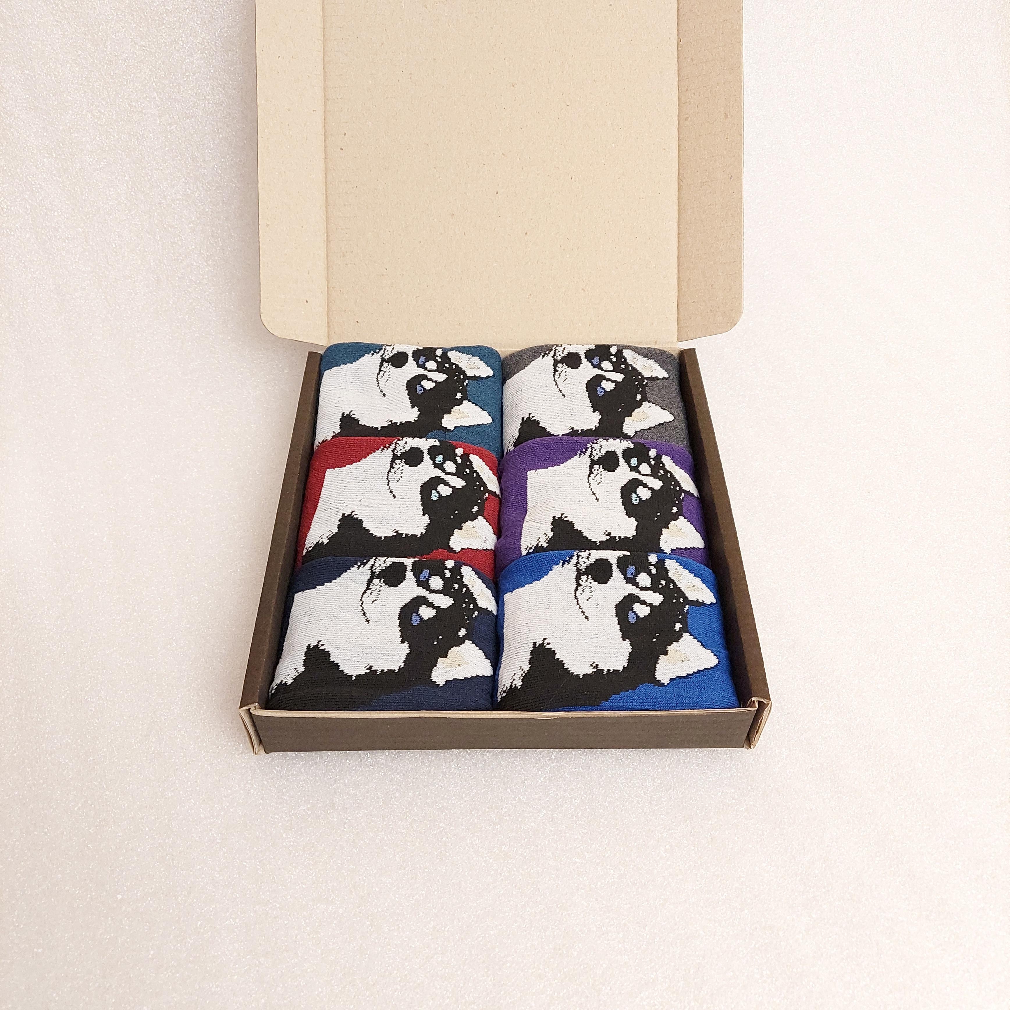 Набір шкарпетки жіночі зимові махрові Житомир Хаскі 6 пар р. 38 Різнокольорові (0558)