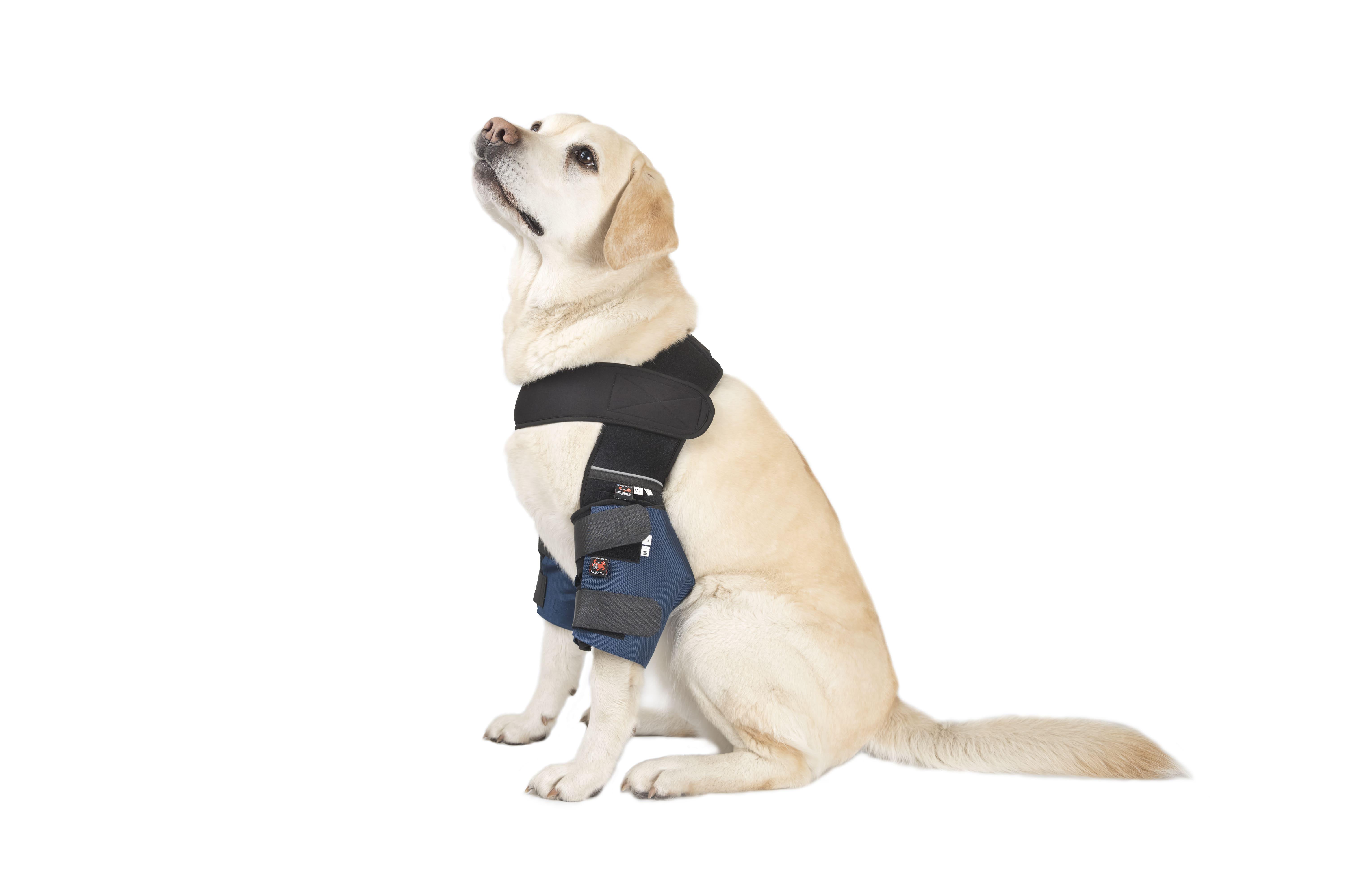 Налокотники для собак Frakishtak М+ Синий (28340058) - фото 3 Налокотники для собак Frakishtak М+ Синий (28340058) - фото 3