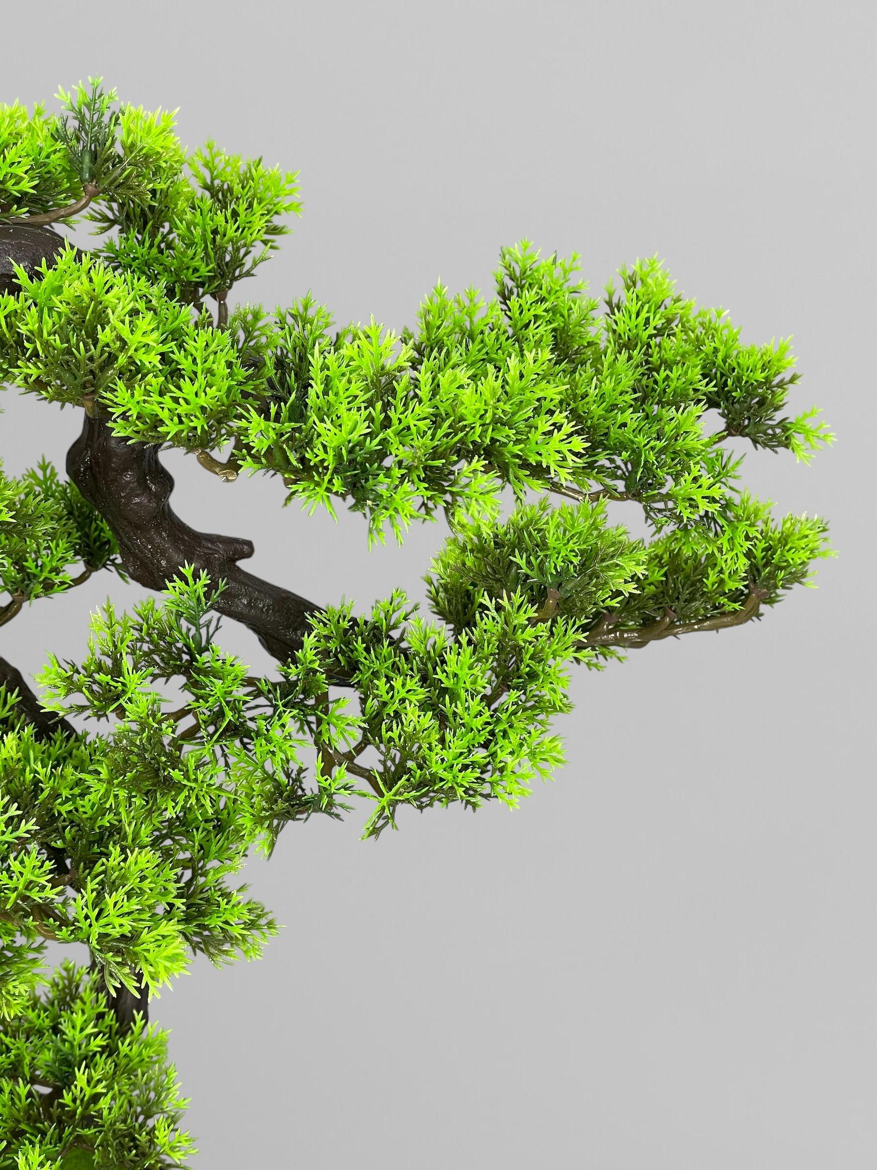 Бонсай 57 см Зеленый (Б008) - фото 4
